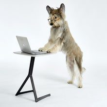 Load image into Gallery viewer, Holden Pull Up Table