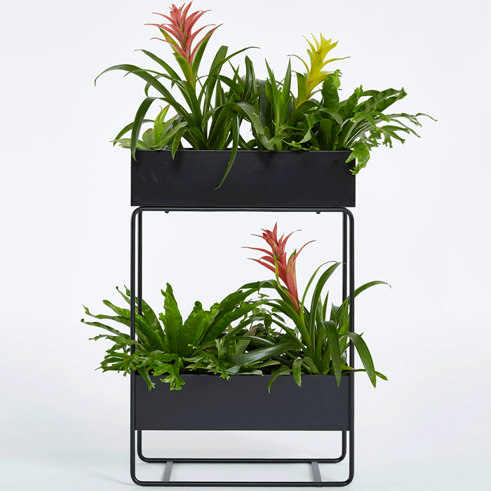 Shop Planters, Stands & Window Boxes at